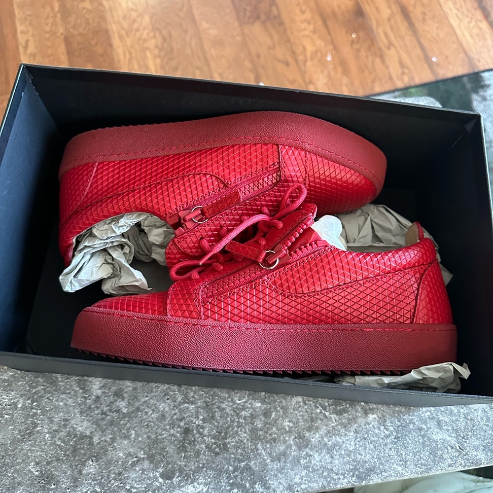 Guiseppe Zanotti Shoes